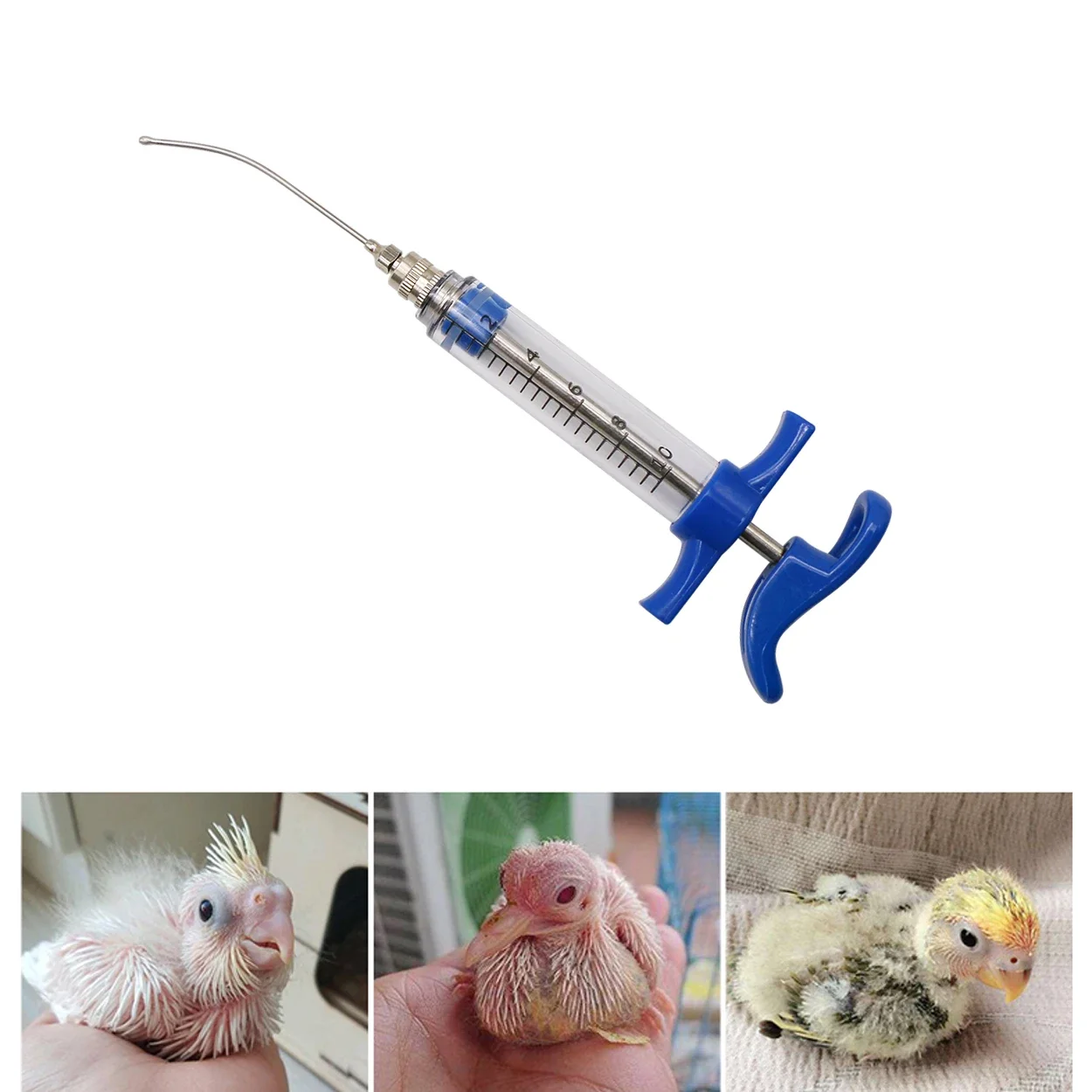 Parrot Feeding Tubes Birds Fee - Baby Food Youtube recension och pris
